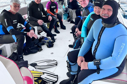 Scuba Diving in Muscat