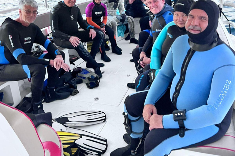 Scuba Diving in Muscat