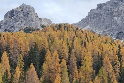 VENICE : The Best Peaks of the Dolomites : The 5 towers