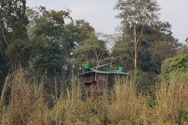 4 dagar med en övernattning i Chitwan nationalpark