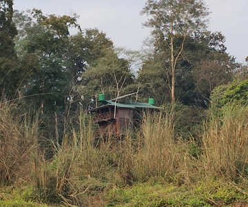 Chitwan: jungle One Night Towerstay in chitwan national park
