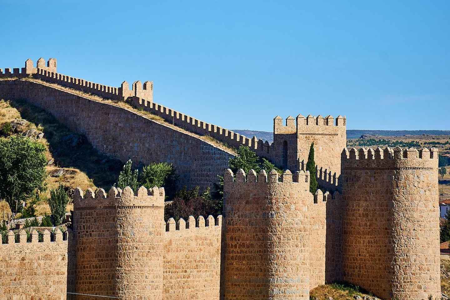 Salamanca: Segovia and Avila Day Trip with Guide