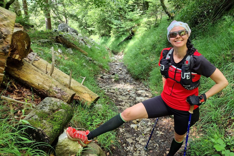 Lucerne : Randonnée guidée au Mont Pilatus