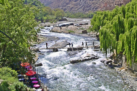 Marrakech:Atlas Mountains, Ourika Waterfall with guide+Lunch Marrakech:Atlas Mountains, Ourika Waterfall with Guide+Lunch