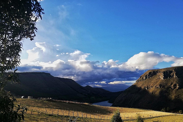 Parco Nazionale Antisana - Avvistamento del condor andino