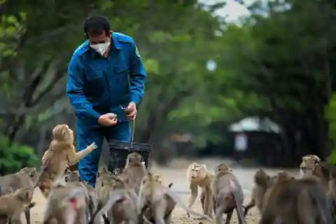 From Ho Chi Minh city: Can Gio Mangrove Forest 1 day tour