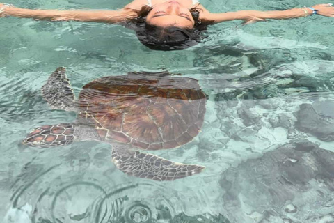 Jozani Forest & Turquoise Waters Turtle Swim at Salaam Cave TOUR WITHOUT HOTEL PICKUP AND DROP OFF