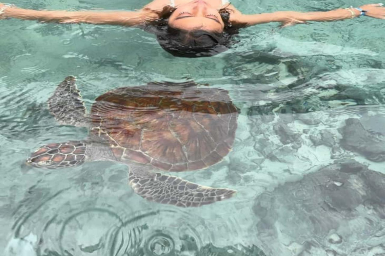 Jozani Forest & Turquoise Waters Turtle Swim at Salaam Cave TOUR WITHOUT HOTEL PICKUP AND DROP OFF