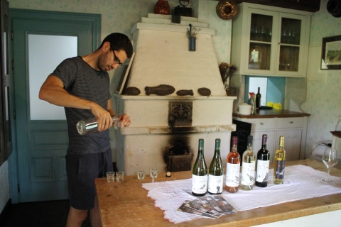 From Belgrade or Novi Sad: Private Wine Tour in Fruska Gora