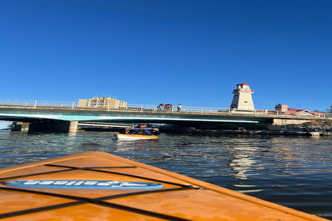 Toronto: noleggio kayak singolo per 2 ore