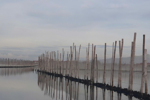 Hue: Tam Giang Lagoon Sunset Tour med fisk- och skaldjursmiddag