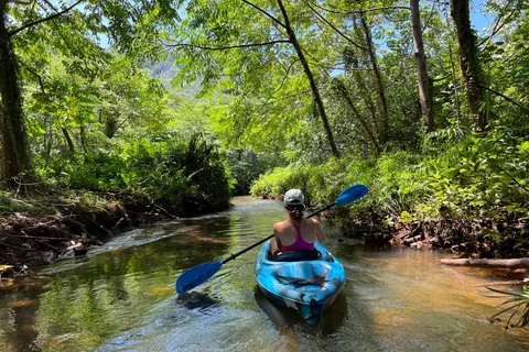 Oahu: Single & Double Kayak 3-Hour River Rental