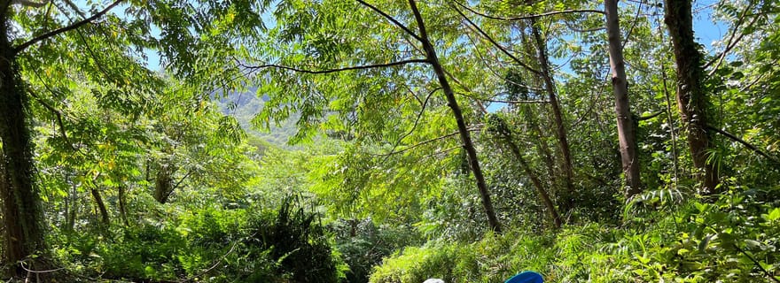 Oahu : Location de 3 heures de kayak simple ou double sur la rivière