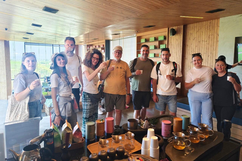 Chiang Rai Discovery:7 Attractions, Tickets & Lunch Included Chiang Rai Discovery: Full-Day Tour with Lunch & Entry Fees