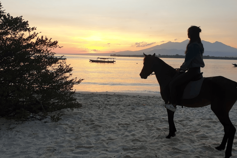 Gili Meno: 1-stündiges Reitabenteuer