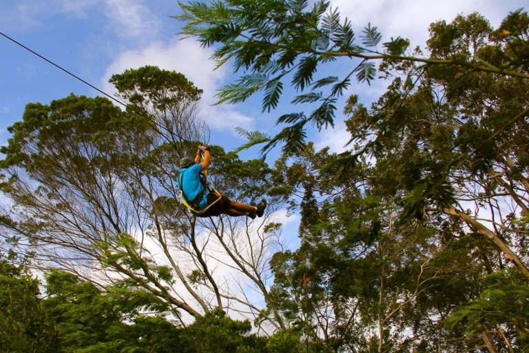 Maui: 7 Zip Lines i WWII MuseumMaui: 7 Zip Lines 2-godzinny Drzewo Canopy Adventure