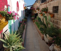 Marzamemi и Portopalo Private Tour - Housity
