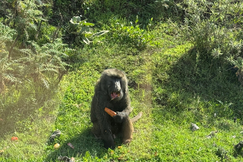 Addis Abeba: Bale-Gebirge &amp; Sof Omar-Höhle 4-tägige TourAddis Abeba: 4-tägige Tour zu den Bale Mountains und der Sof Omar-Höhle