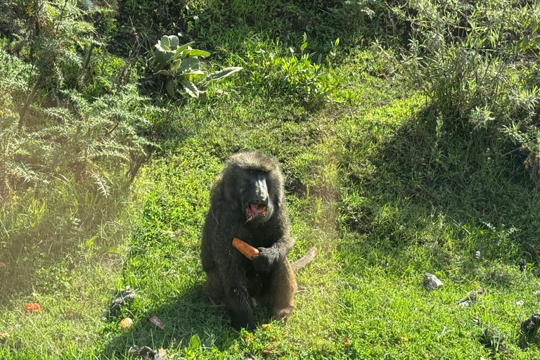 Addis Abeba: Bale-Gebirge &amp; Sof Omar-Höhle 4-tägige TourAddis Abeba: 4-tägige Tour zu den Bale Mountains und der Sof Omar-Höhle