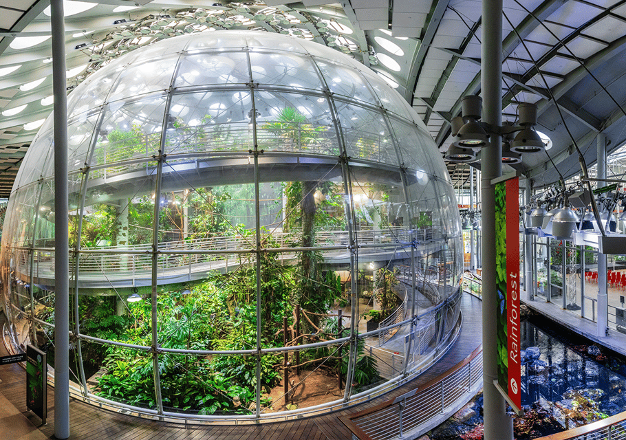 SF: CA Academy of Sciences & Hop-on Hop-off Tour (Save 15%) image 1
