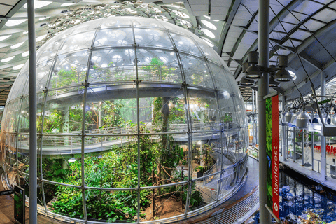 SF: CA Academy of Sciences & Hop-on Hop-off Tour (Save 15%)