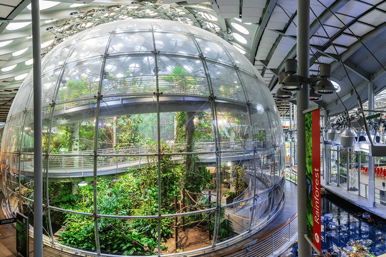 SF: CA Academy of Sciences & Hop-on Hop-off Tour (Save 15%)