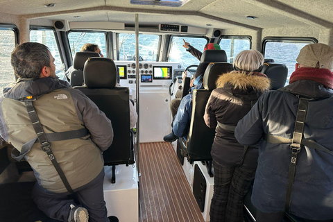 Tromsø: Observación de Orcas y Ballenas Excursión en barco climatizado confortableTromso: Excursión en barco climatizado confortable para avistar orcas y ballenas