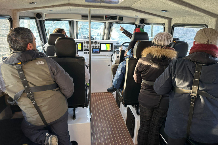 Tromsø: Observación de Orcas y Ballenas Excursión en barco climatizado confortableTromso: Excursión en barco climatizado confortable para avistar orcas y ballenas