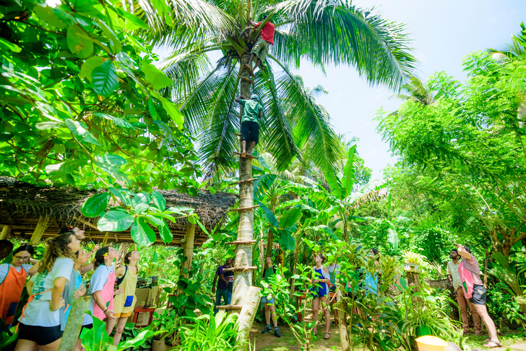 Galle: Sri Lankan Cuisine Cooking Experience