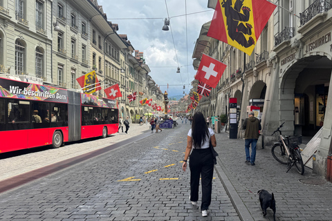 From Zurich: Private Day Trip to Bern’s Top Sights