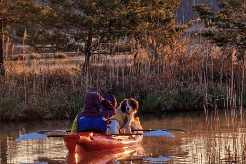 From Riga: Sunrise Kayak or Paddleboard Tour with Pick-Up Double Kayak