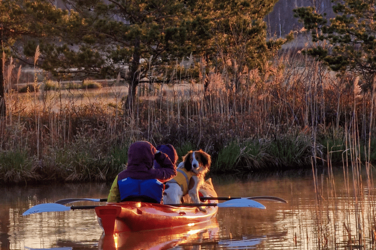 From Riga: Sunrise Kayak or Paddleboard Tour with Pick-Up Double Kayak