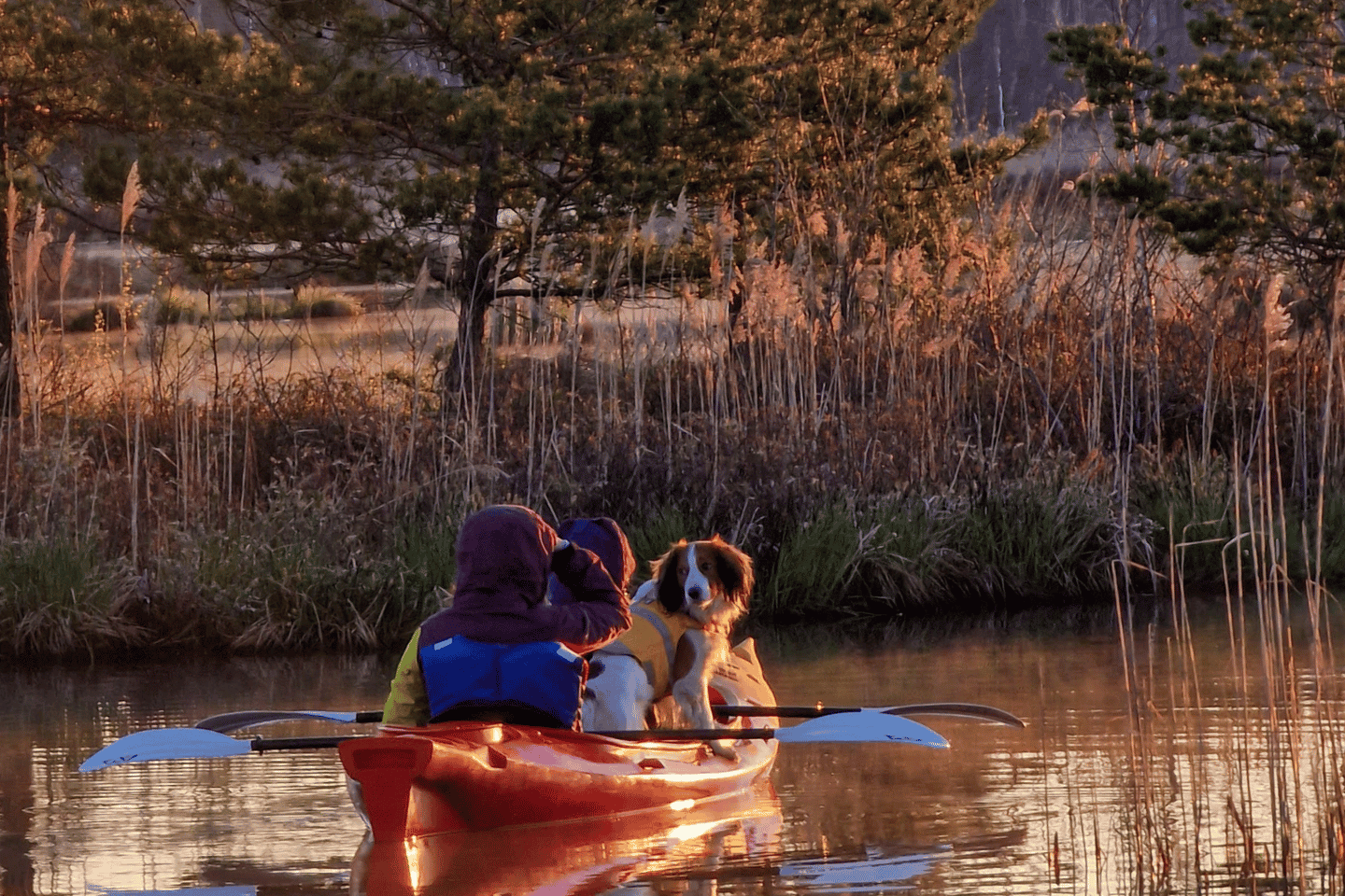 From Riga: Sunrise Kayak or SUP board Tour at ?emeru t?relis - Double Kayak