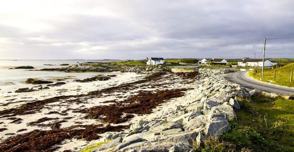Von Galway: Connemara, Aran-Inseln, Bootsfahrt und Burren-Tour