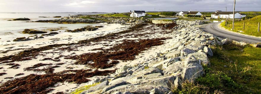 Au départ de Galway : Connemara, îles d'Aran, croisière et visite du Burren