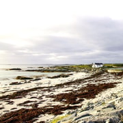 From Galway: Connemara, Aran Islands, Cruise & Burren tour From Galway: Connemara, Aran Islands, Cruise & Burren tour