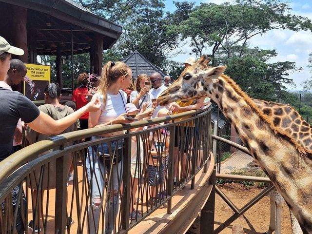 Giraffe Centre & Kobe Beads Cultural Tour All-Inclusive Trip
