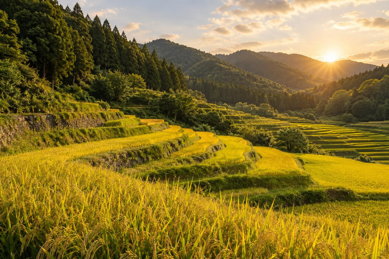 From Tokyo: Rice Terrace Water Walk & Stone Wall Tour
