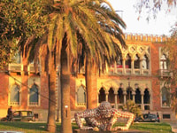 Tour de caminata guiada privada de Reggio con Museo Arqueológico - Housity