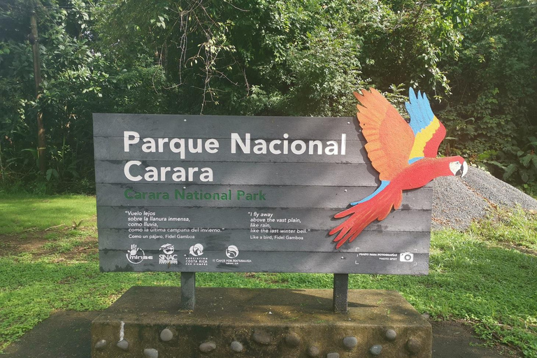 Carara National Park: Guided Walk Carara Costa Rica Nature