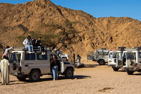 Sharm El Sheikh: Canyon, Blue Hole & Dahab Day Tour Blue Hole Explorer & Snorkeling Adventure