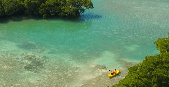Kayak + Guided Snorkel & Morning Sail