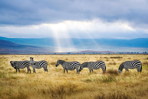 3 Days Tanzania Mid-Range Safari to Ngorongoro &amp; Manyara