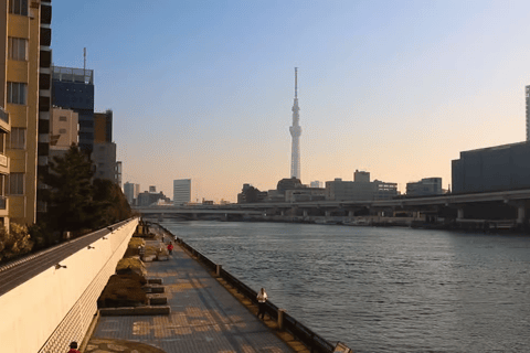 Tokyo Private Tour with English speaking driver Minivan (1-6)