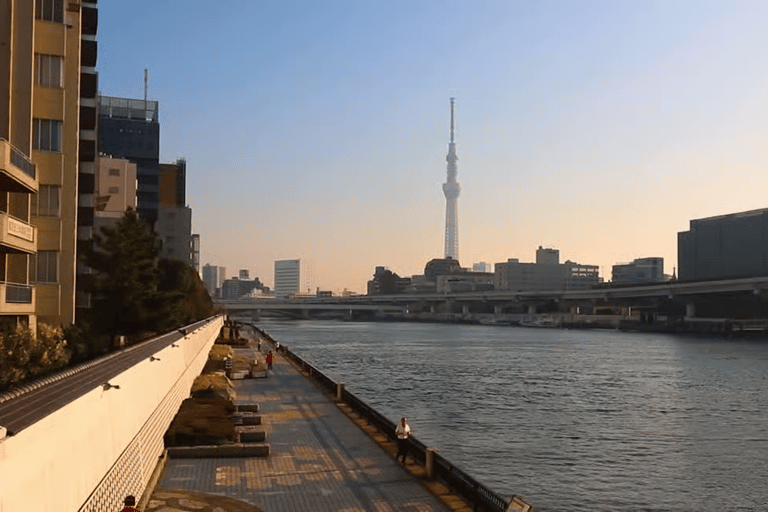 Tokyo Private Tour with English speaking driver Minivan (1-6)