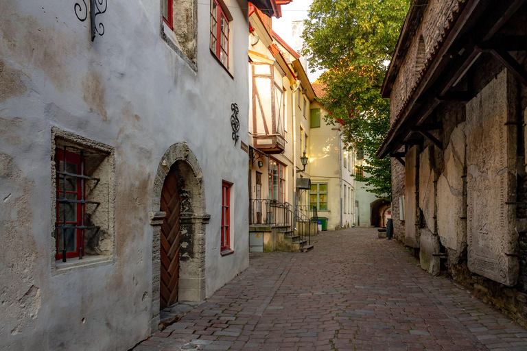 Tales of Tallinn: 4-hour Combo Bus & Walking Tour Pick-up location: Mere puiestee 5