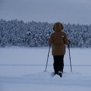 Parc Muotkantunturi, Inari - Mini expedition en raquettes de neige