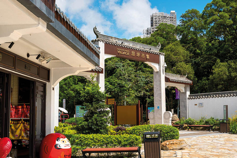 Tour personalizzato dell&#039;isola di Lantau - Grande Buddha e villaggio di Tai O