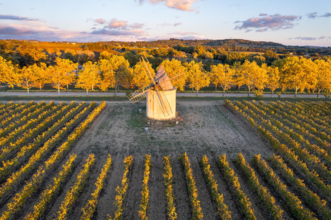 Luberon: Vineyard Tour and Wine Tasting