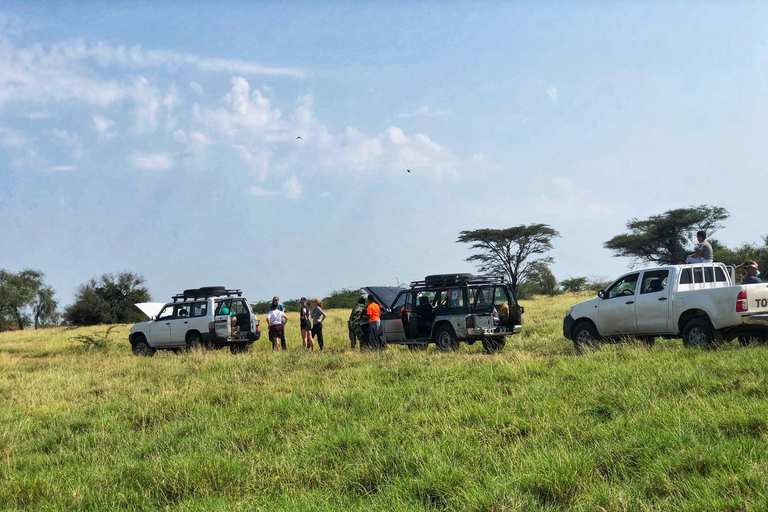 Addis Abeba: 2-tägige Wildtiersafari im Awash-Nationalpark